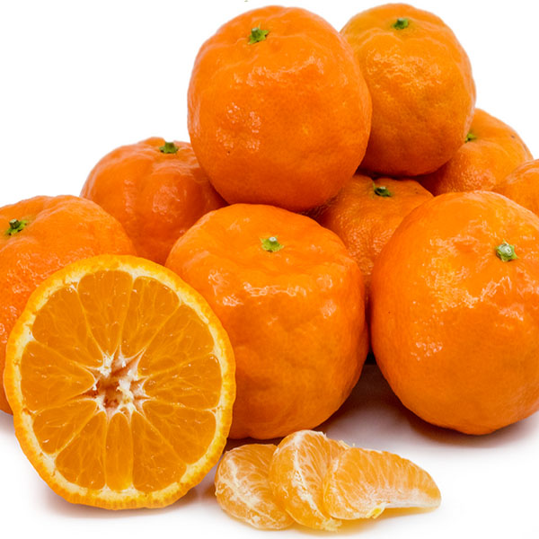 نهال نارنگی یافا