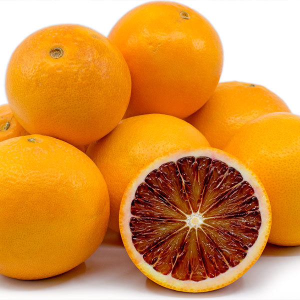 نهال پرتقال خونی تاراکو